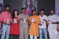 Panchami Audio Function